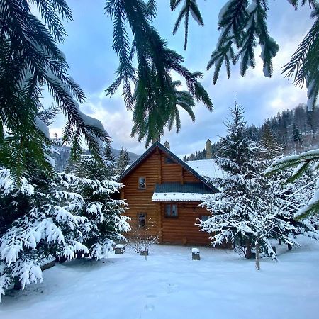 Vila Na Gori Slavske Exteriér fotografie