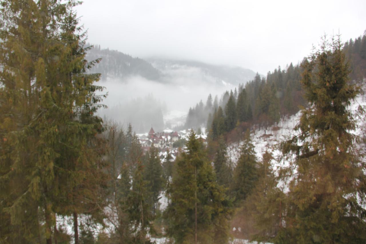 Vila Na Gori Slavske Exteriér fotografie